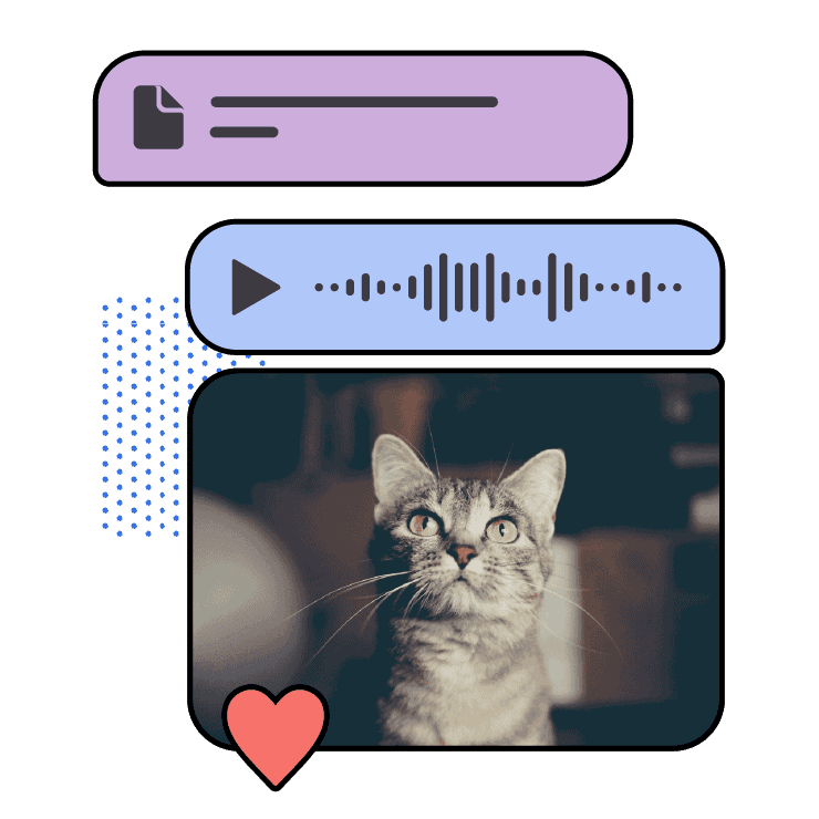 Signal 安全分享功能